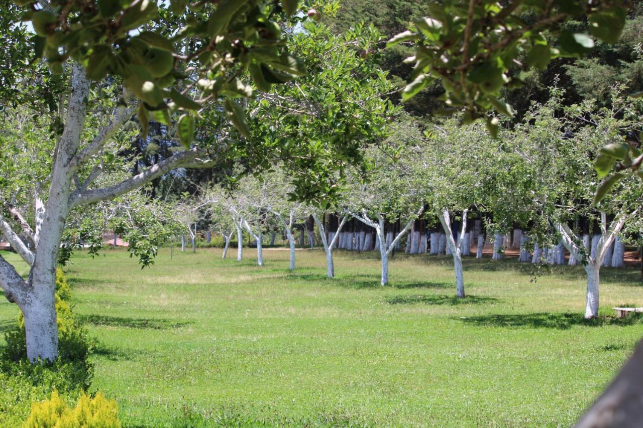 Cabanas Rancho El Mayab Zacatlán Extérieur photo